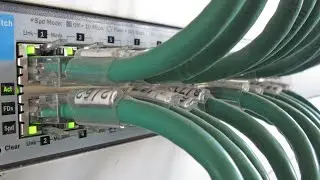 Ton switch ne parle plus ? Voici la vraie raison !