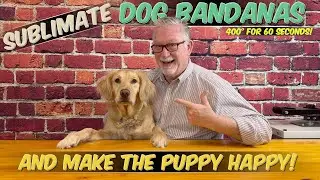 How To Make Your Puppy Happy With A Sublimated Dog Bandana!