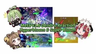 Meta v3.6 Dendro Reaction Hyperbloom & Super Bloom | Genshin Impact