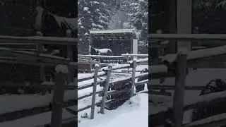 Definitely don’t miss winter 😝