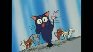 Tuxedo Mask: Cat Edition