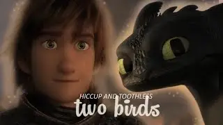hiccup & toothless | two birds
