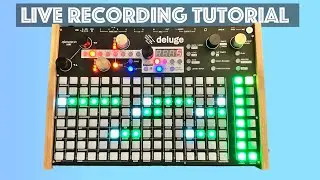 How to Use Live Recording - Deluge Tutorial