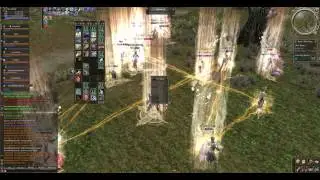 Lineage 2 linsomnia Кара Бомжей (часть 2)