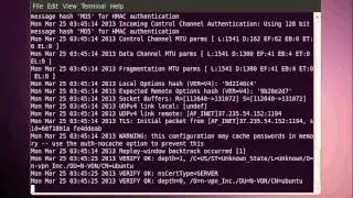 How connect anonymous VPN OpenVPN on Ubuntu Linux AProVPN.com