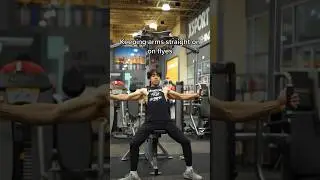 DO pec deck chest flyes like THIS