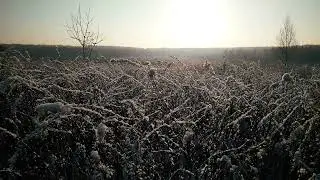 Г Гейне  Они любили друг друга так долго и нежно 