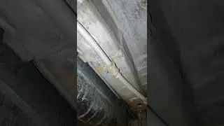 Мовиль цинк. Спустя полгода.