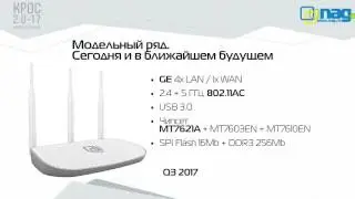 Круглый стол: Беспроводные решения SNR. Екатерина Князькова (НАГ)