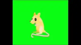 green screen mouse cartoon green screen prophets /green screen animals