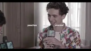 lay it down | timothée chalamet