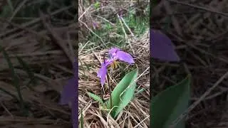 Ярское. Заповедные места.