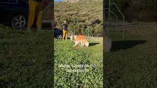 #Аджилити