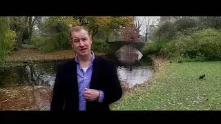 Mart Winkel - Alles blijkt een droom