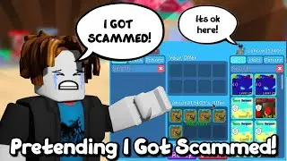 roblox Bgs pretending I got scammed 😱 social experiment *will people give me pets?!*