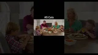 Animals I Like To Feed