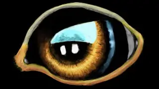 Speed painting ojo/ paint tool sai/ huion h420