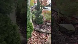 anime poop