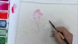 How to Paint Flowers in Watercolor - Creating Graded washes on Flower Petals