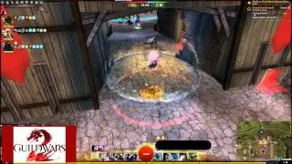 GW2 Thief WvW D/P
