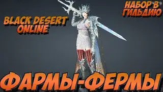 #BDO #BkackDesertOnline #Фармы #Задания #Набор_в_Гильдию_ПВЕ #2024