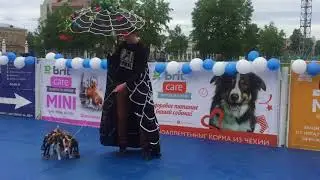 Happy Dogs Day в Догги 24 июня 2018