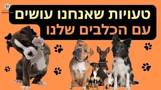 טעויות שאנחנו עושים עם הכלבים שלנו | מה לא לעשות עם הכלב|  גידול כלבים | איך לגדל גור כלבים
