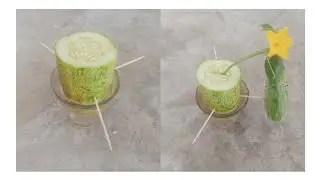 Amazing Skills ✓ Cucumbers Grow From Cucumber