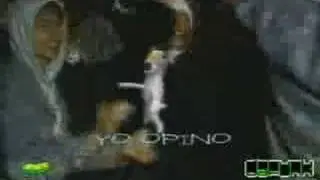 Yo Opino