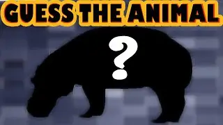 Can You Guess the Animal Quiz#2 | Guess the Animals Shadow | Animal Quiz Guessing Game