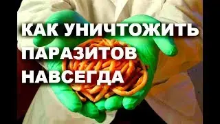Как уничтожить паразитов НАВСЕГДА #здоровье