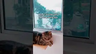 Asal usul nama No Name 