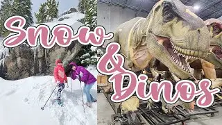 Summer Travel Recap 2024 | Snowshoeing in Estes Park & Dino Extravaganza in Glen Rose, Texas