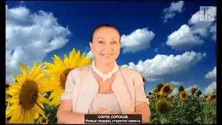 СОРОК СОРОКОВ Новые лидеры старого замеса #1553