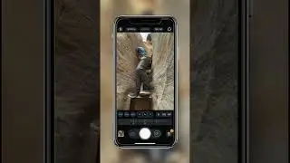 iPhone Photo TIP for Better Photos 2023 👏 