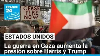 Carrera por la Casa Blanca: el impacto electoral de la guerra en Gaza • FRANCE 24 Español