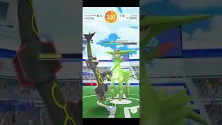 Virizion Solo in Windy (Quick Attack / Leaf Blade)