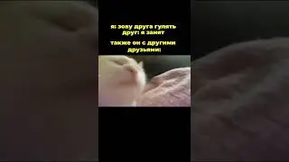 лайк если жиза, отмечай такого друга 😂 #shorts #угар #ржака