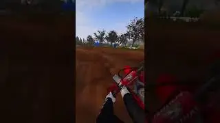 Kinda barking