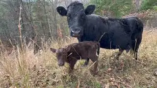 A Very Special Blessing