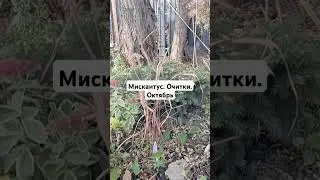 солнце в конце октября!