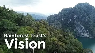 Rainforest Trust's Vision