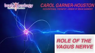 The Role of the Vagus Nerve