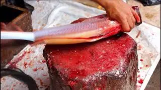 Alive Catfish cutting in fish market|| Catfish skin removing|| chopping skill|| fresh fish🐟🐠🐡🎏🎣...