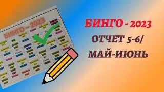 БИНГО-2023/ОТЧЕТ 5-6. МАЙ-ИЮНЬ            
