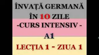 Invata germana in 10 zile | CURS INTENSIV A1 | LECTIA 1