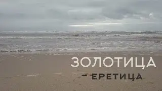 Документальный фильм 