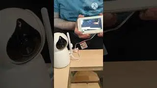 5" Digital Video Baby Monitor #shortvideo