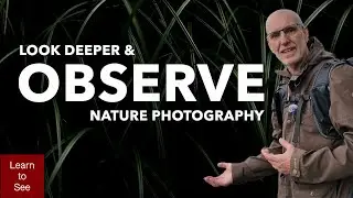 Nature Photography - Look Deeper and Observe