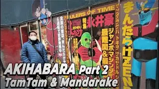 AKIHABARA part-2 : TamTam Hobby Shop & Mandarake